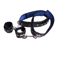 RESTRAINTS