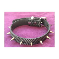 Rubber collar 1" by Black Rose World