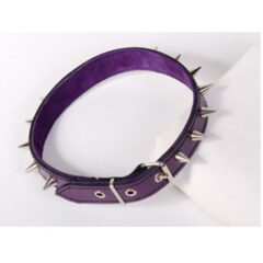 2inch shoulder leather collar by Black Rose World