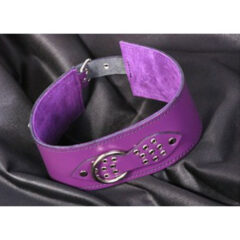 3" wide collar in shoulder leather by Black Rose World