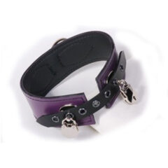 3"wide shoulder leather collar by Black Rose World