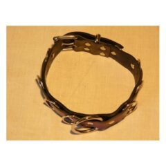 Black and Purple Collar by Black Rose World