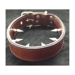 Leather inner spiked collar by Black Rose World